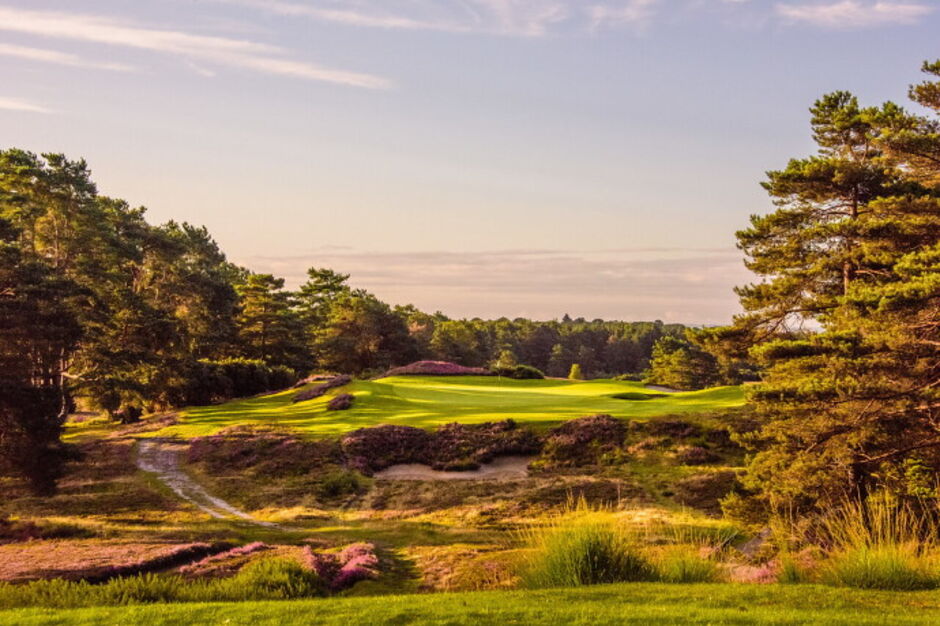 The New Course